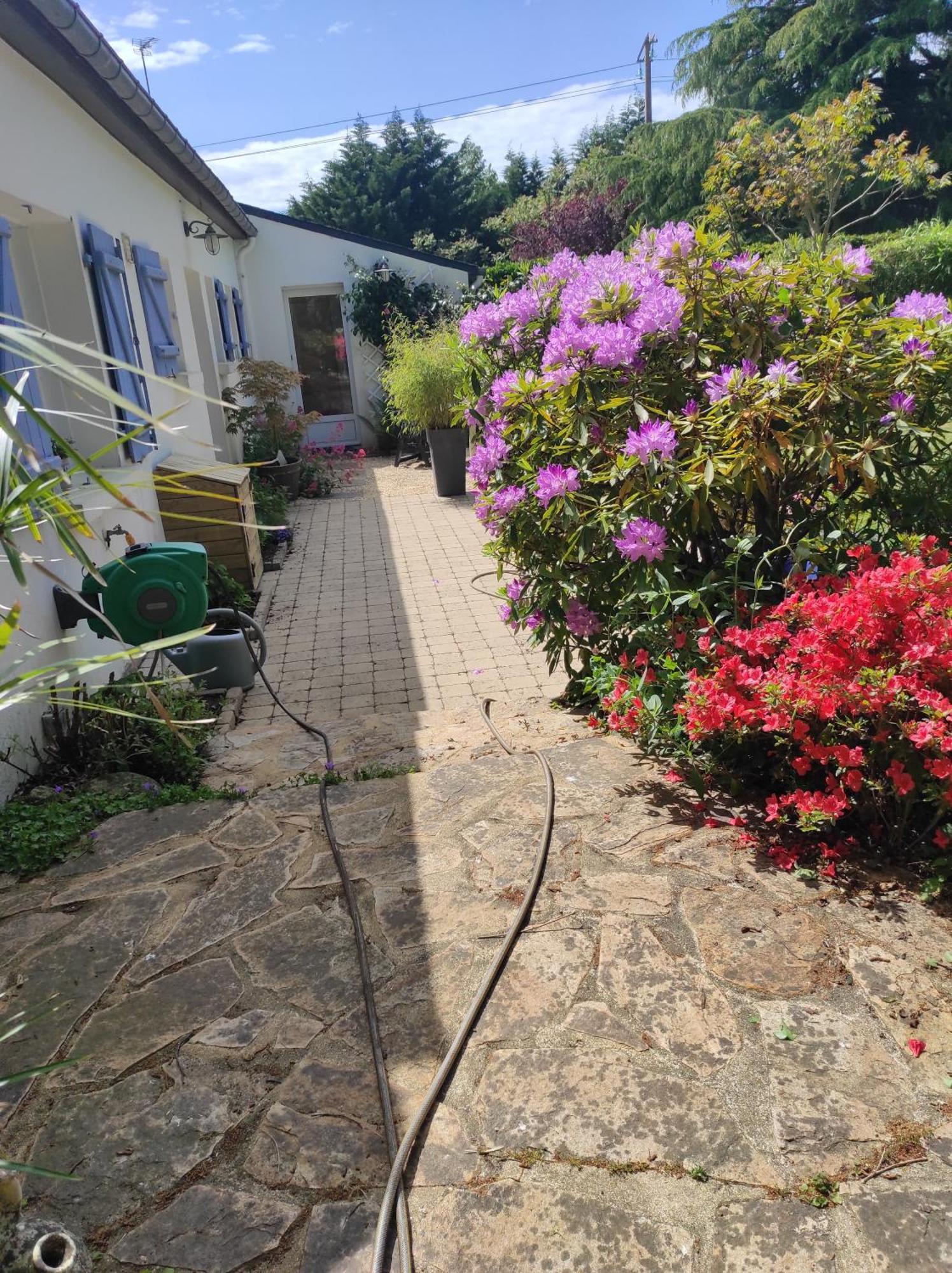 Grand Studio Duplex Avec Jardin La Trinité-sur-Mer Eksteriør bilde