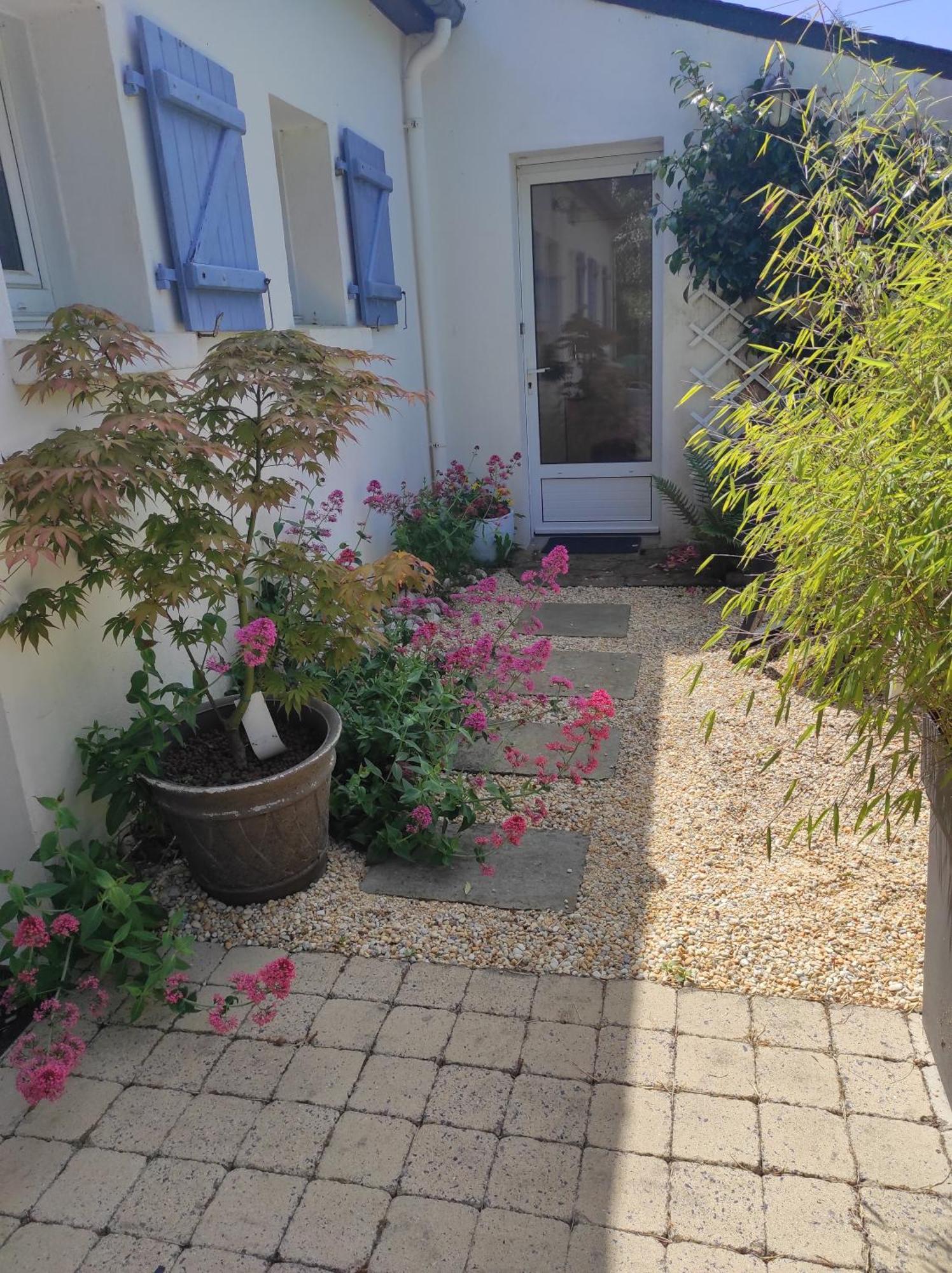 Grand Studio Duplex Avec Jardin La Trinité-sur-Mer Eksteriør bilde
