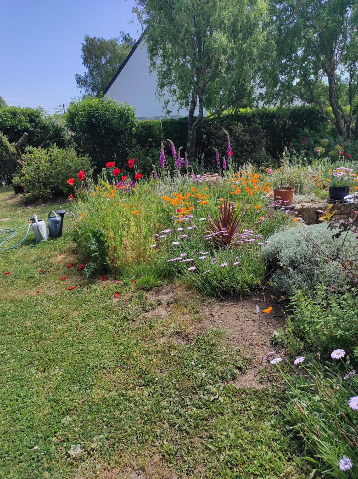 Grand Studio Duplex Avec Jardin La Trinité-sur-Mer Eksteriør bilde